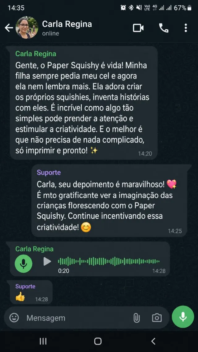Print de WhatsApp — Carla Regina contando que a filha deixou o celular